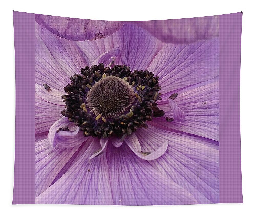 Flower Tapestry featuring the photograph Purple Explosion by Kathy Barney