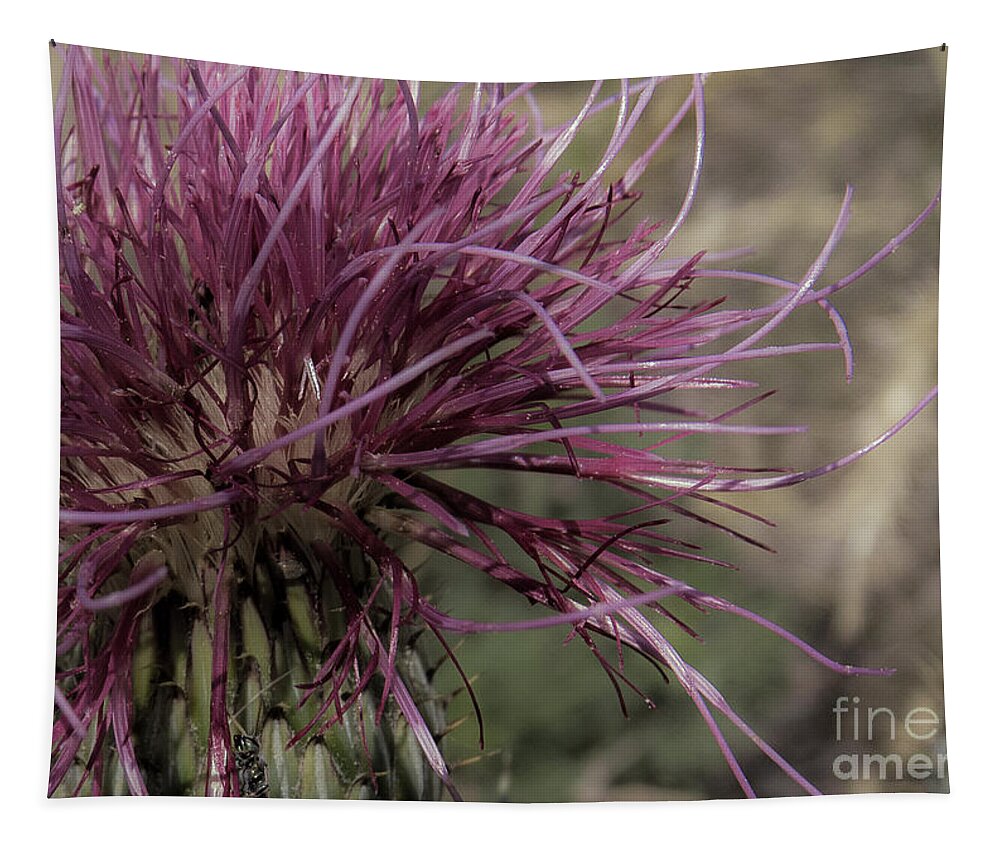Nature Tapestry featuring the photograph Purple Flower 2 by Christy Garavetto