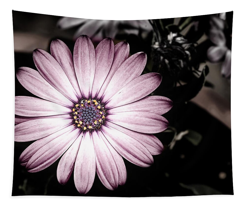 Flower Tapestry featuring the photograph Purple Flower by Al Mueller