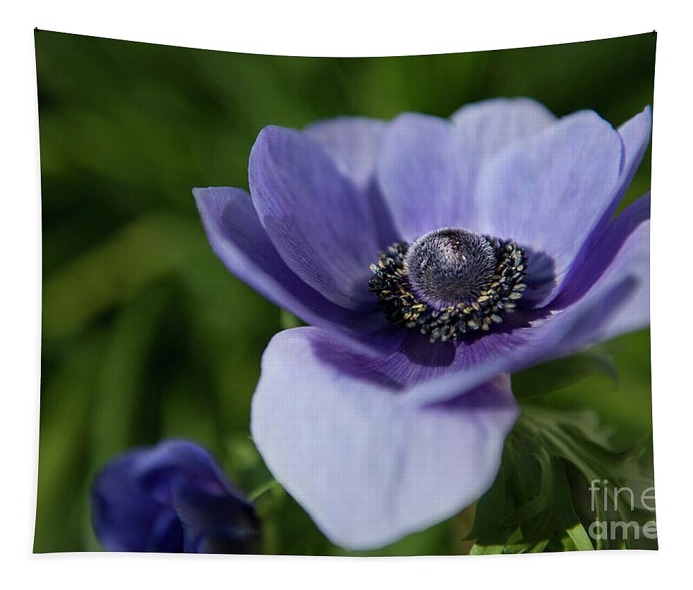 Violet Tapestry featuring the photograph Purple Flower Power by Dale Powell