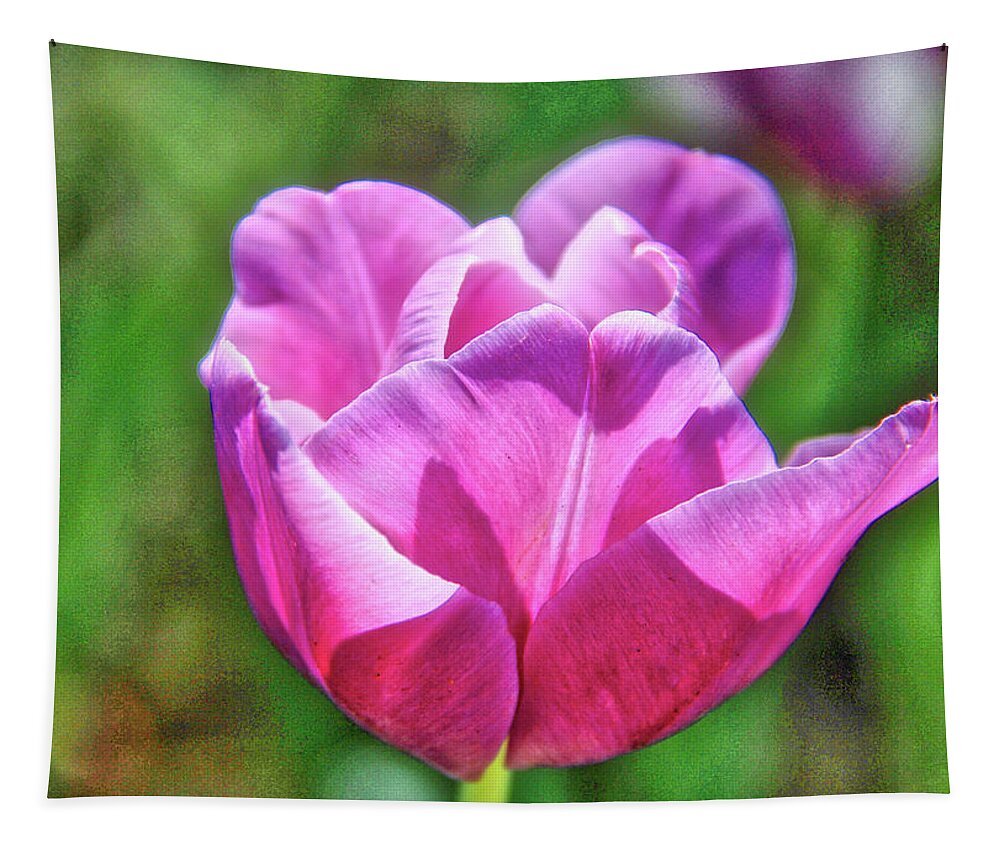 Tulip Tapestry featuring the photograph Purple Glow by Linda James