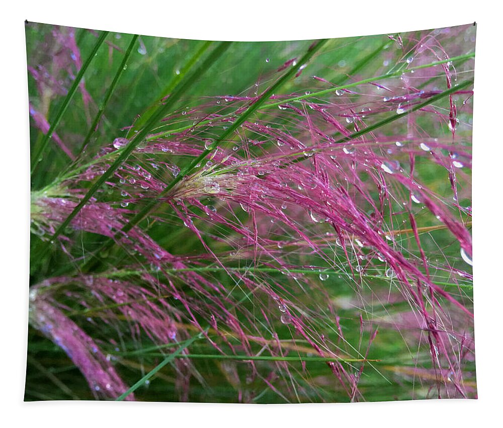 Nature Tapestry featuring the photograph Purple Grains by Nathan Little