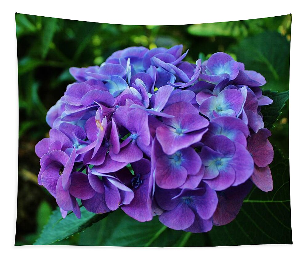 Hydrangea Tapestry featuring the photograph Purple Hydrangea by Cynthia Guinn