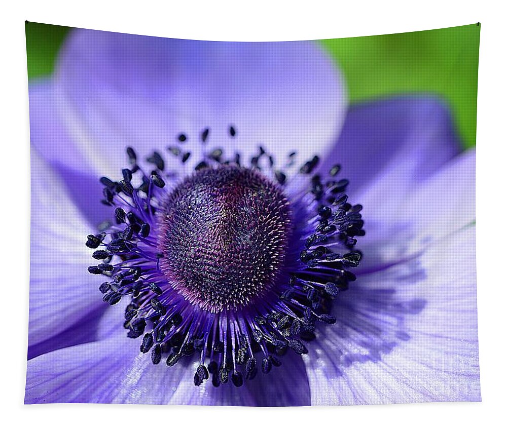 Flowers Tapestry featuring the photograph Purple Poppy by Cindy Manero