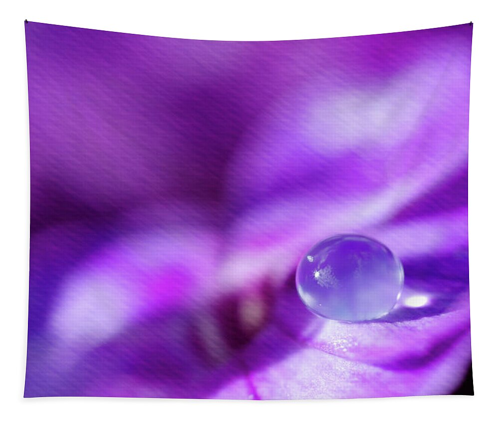 Water Drop Tapestry featuring the photograph Purple Rain Drop by Crystal Wightman