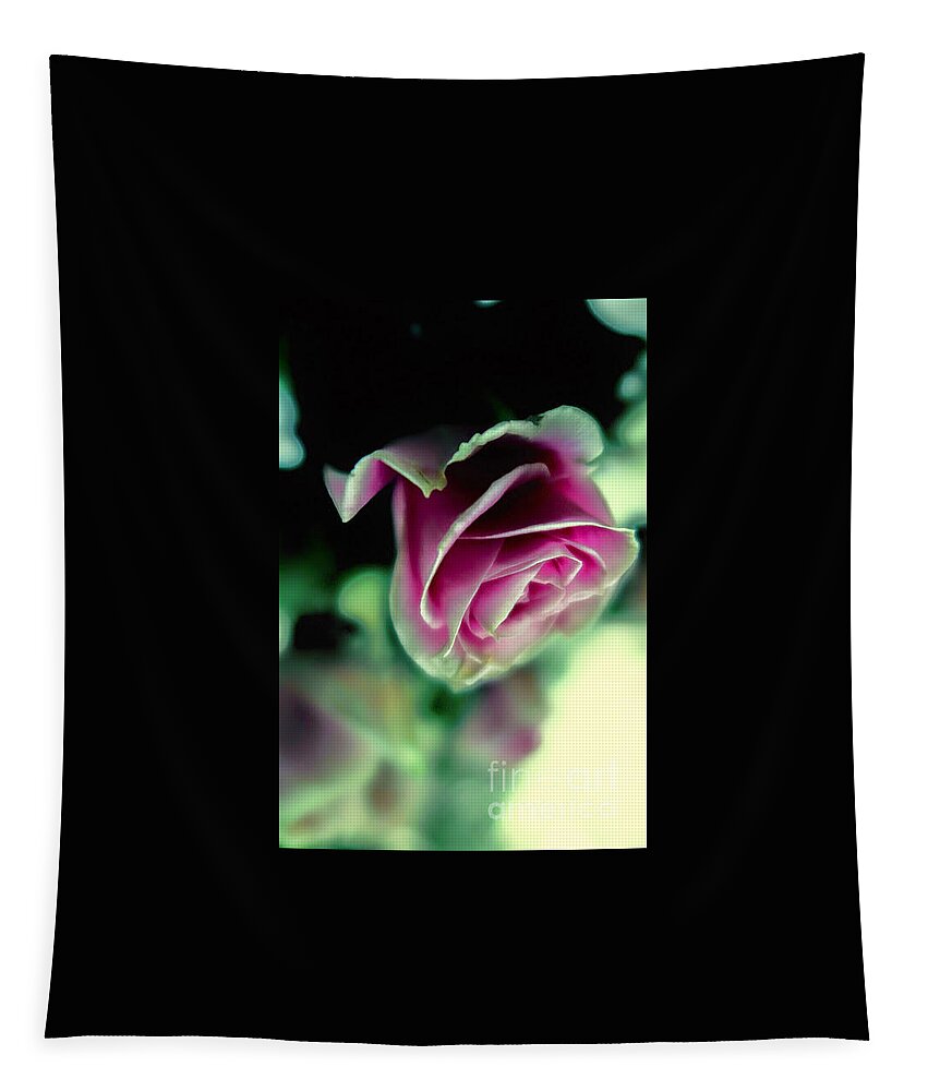 Floral Tapestry featuring the photograph Purple Rose by Tara Shalton