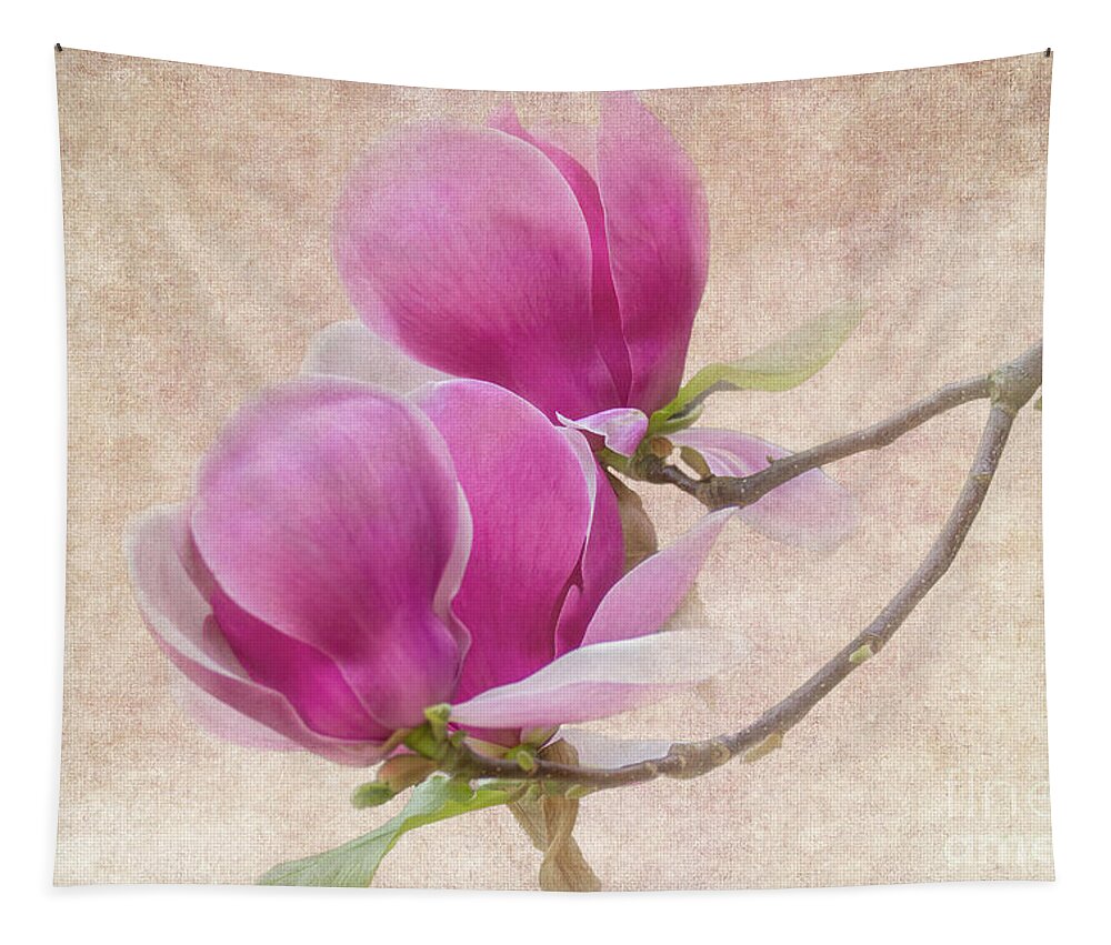 Magnolia Tapestry featuring the photograph Purple Tulip Magnolia by Heiko Koehrer-Wagner