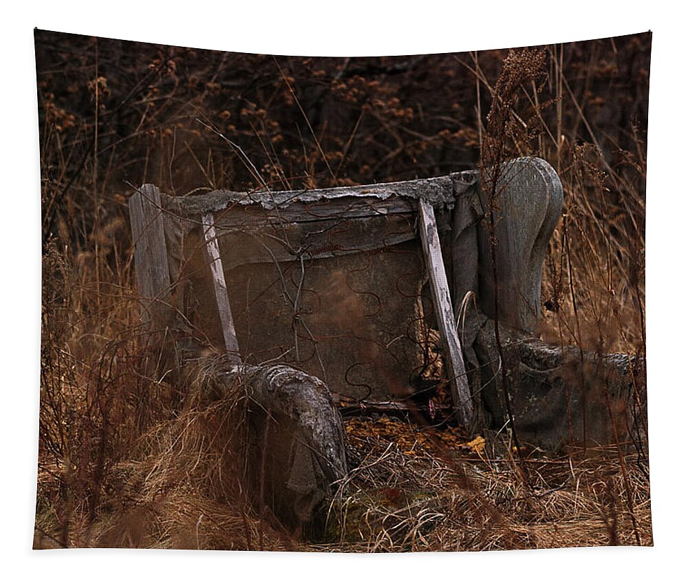Chair Tapestry featuring the photograph Putting Down Roots by Sue Capuano