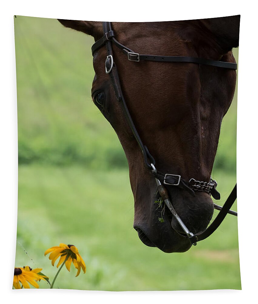 Quarter Horse Tapestry featuring the photograph Quarter Horse by Holden The Moment