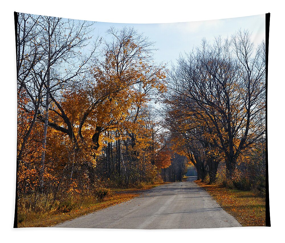 Road Tapestry featuring the photograph Quarterline Road by Tim Nyberg
