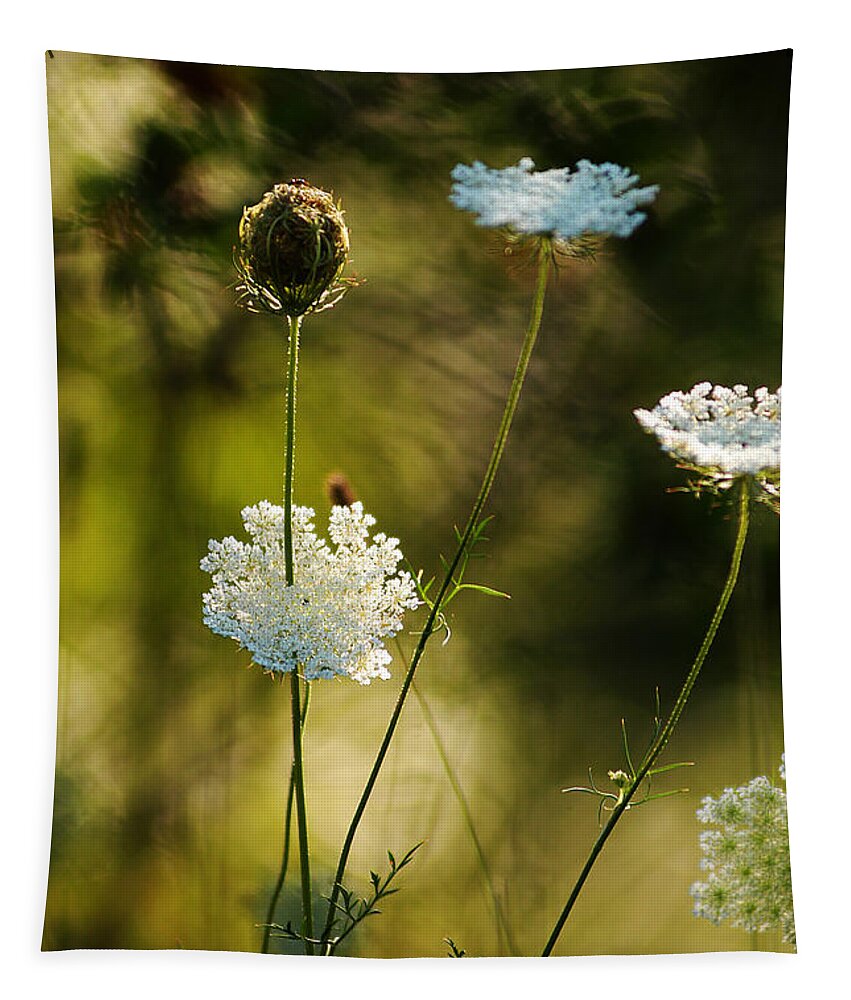 Wildflowers Tapestry featuring the photograph Queen Annes Waving by Linda McRae