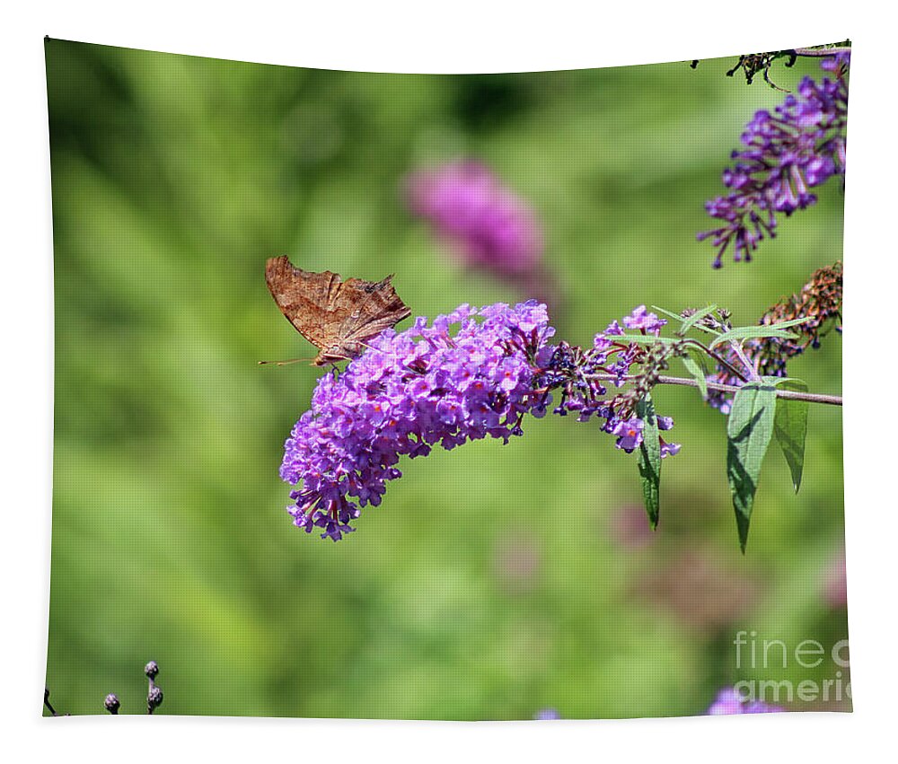 Question Mark Butterfly Tapestry featuring the photograph Question Mark Butterfly Ventral View by Karen Adams