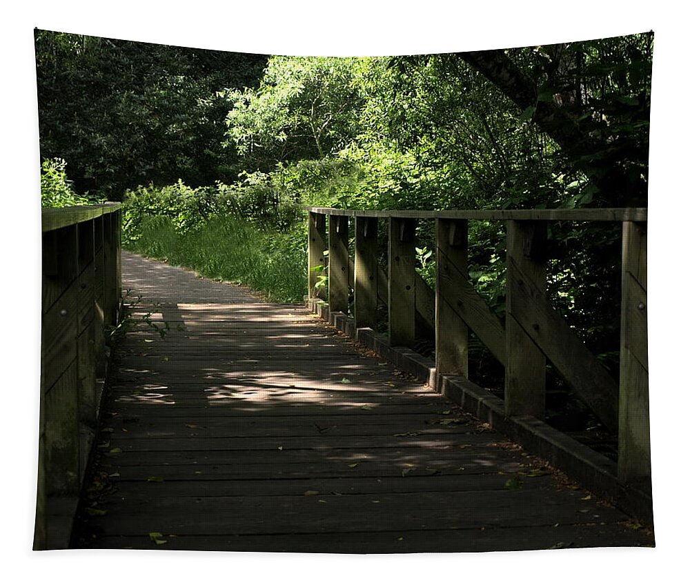 Landscape Tapestry featuring the photograph Quiet Path Bridge by Richard Thomas
