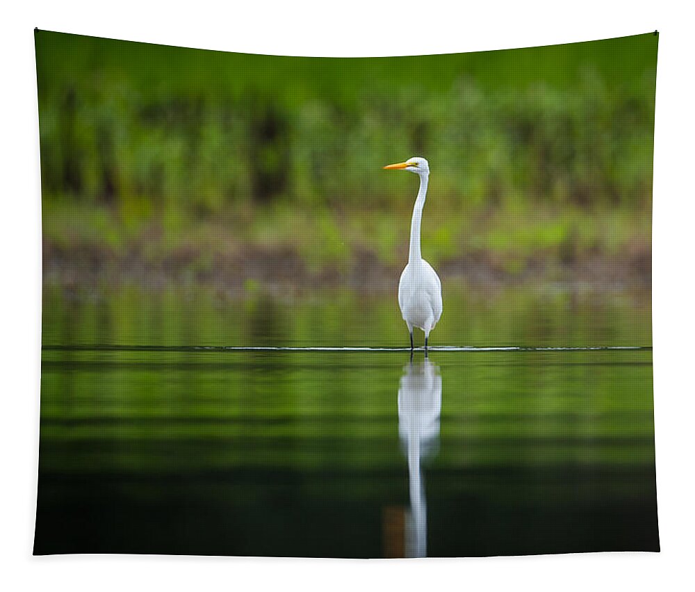 Nature Tapestry featuring the photograph Quiet Wading by Jeff Phillippi