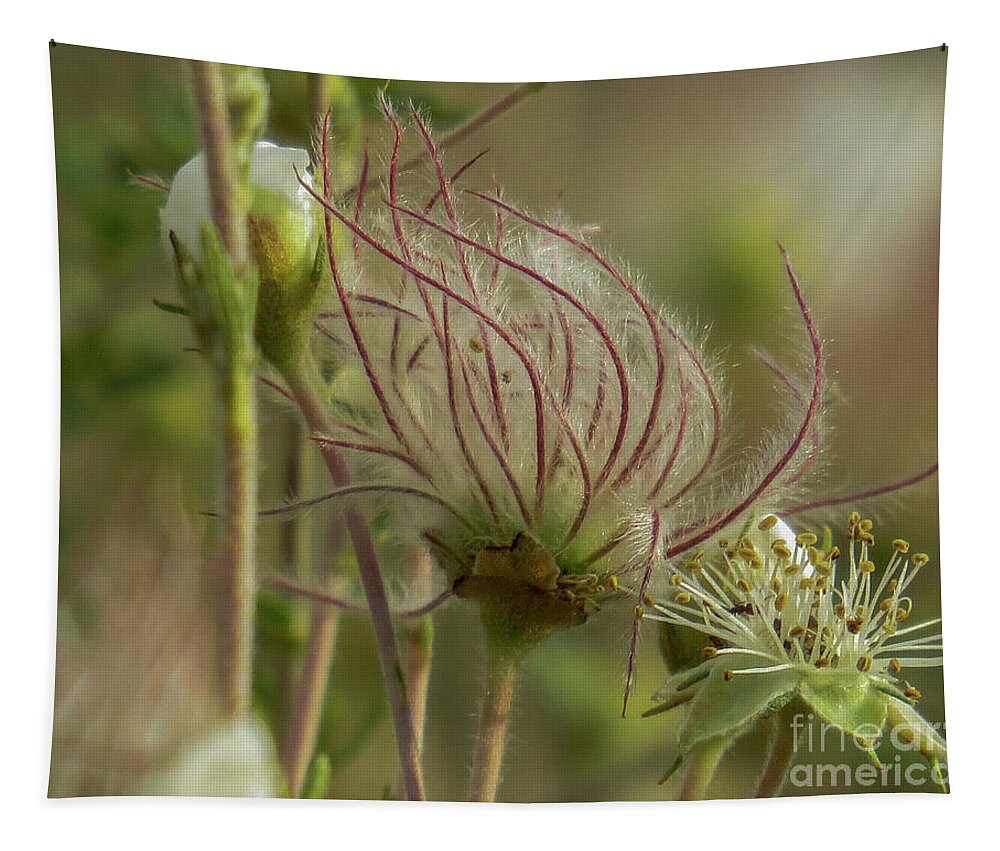 Red Tapestry featuring the photograph Quirky Red Squiggly Flower 2 by Christy Garavetto