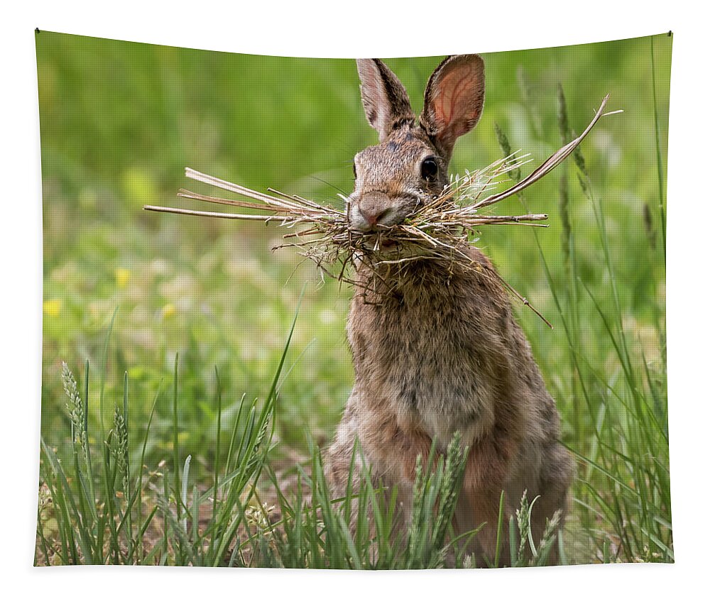 Rabbit Collector Square Tapestry featuring the photograph Rabbit Collector Square by Terry DeLuco