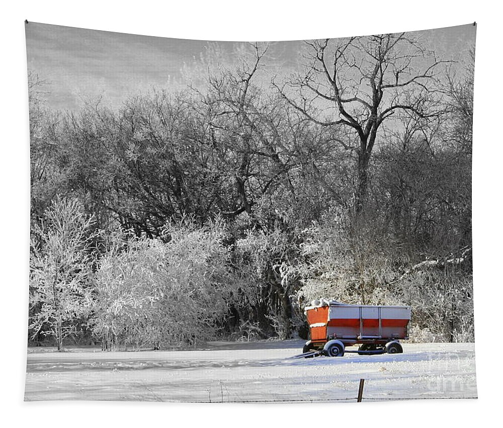 Snow Tapestry featuring the photograph Radio Flyer by Julie Lueders 
