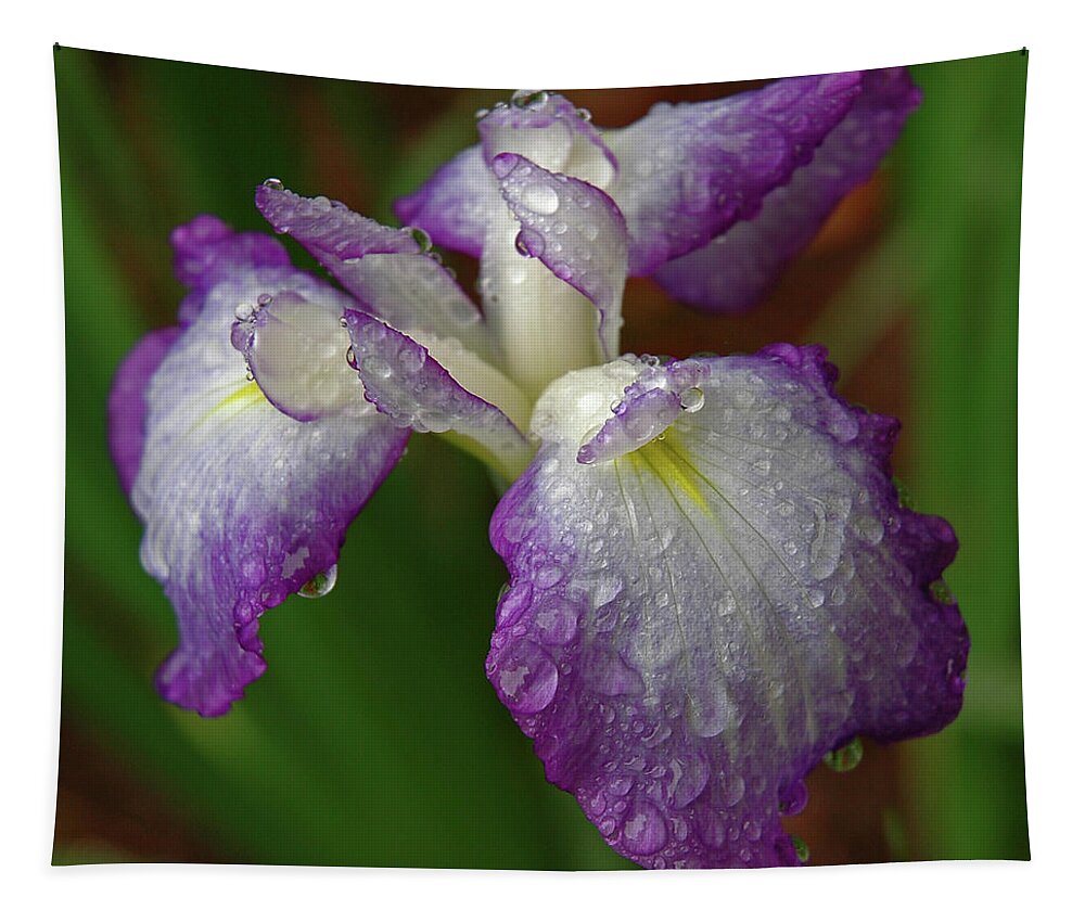 Iris Tapestry featuring the photograph Rain-soaked Iris by Marie Hicks