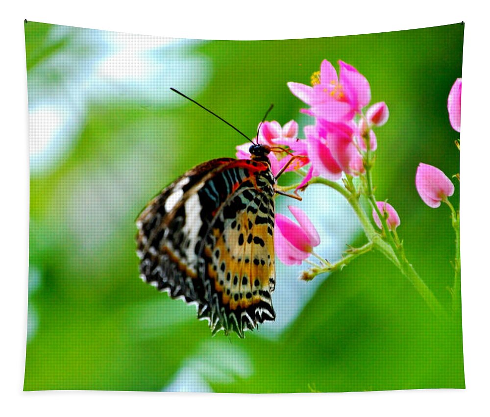 Butterfly Tapestry featuring the photograph Rainbow Butterfly by Peggy Franz