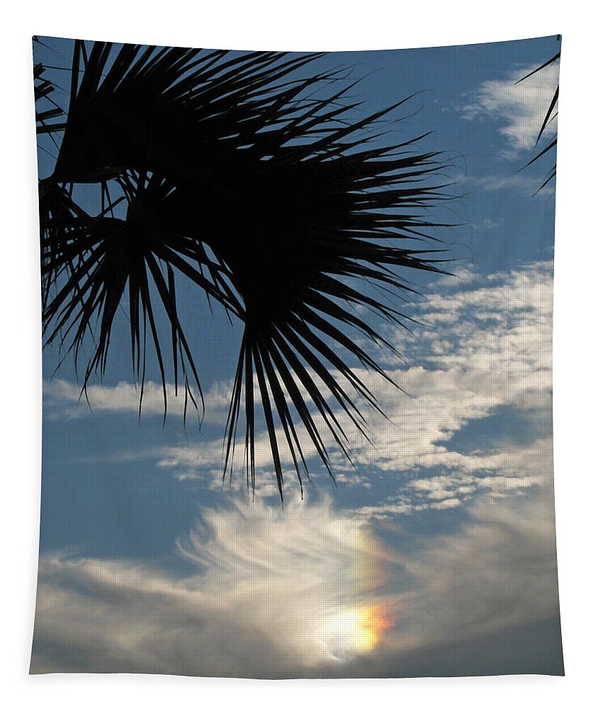 Palm Frond Tapestry featuring the photograph Rainbow Cloud by Peggy Urban