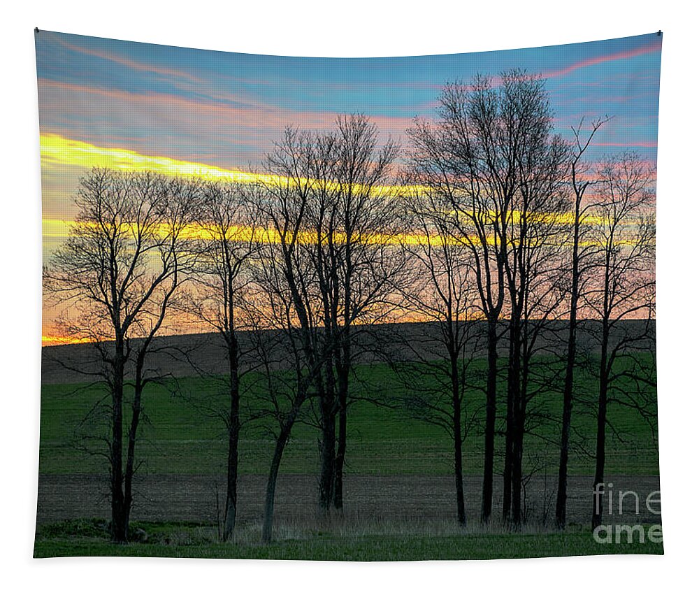 Sunrise Tapestry featuring the photograph Rainbow Color Tree Horizon by Joann Long