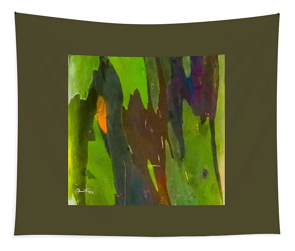 susan Molnar Tapestry featuring the photograph Rainbow Eucalyptus 6 by Susan Molnar