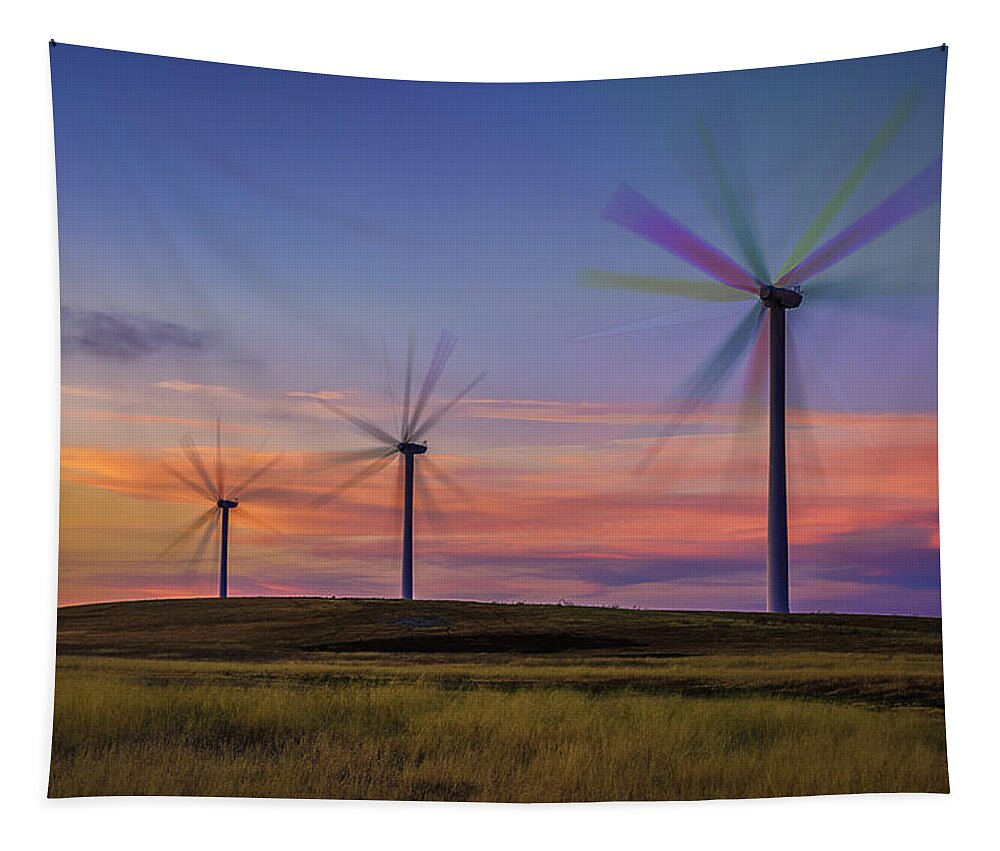 Anti-aging Tapestry featuring the photograph Rainbow Fans by Don Hoekwater Photography