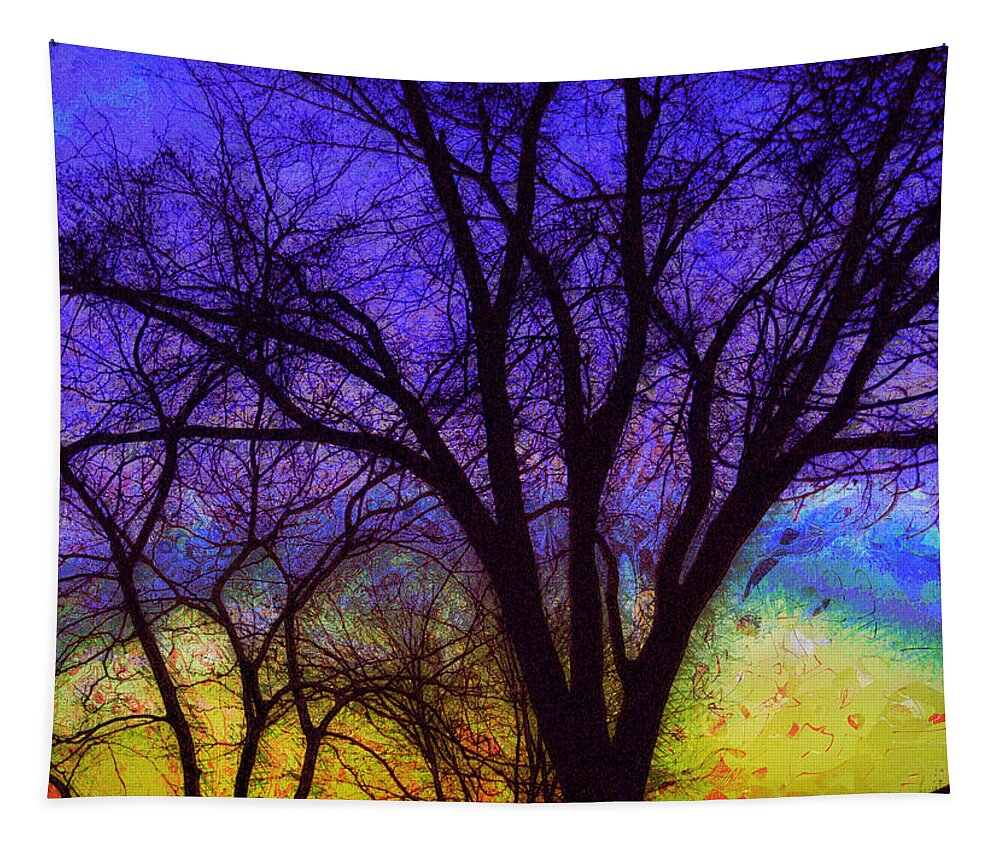 Sunrise Tapestry featuring the photograph Rainbow Morning by Julie Lueders 