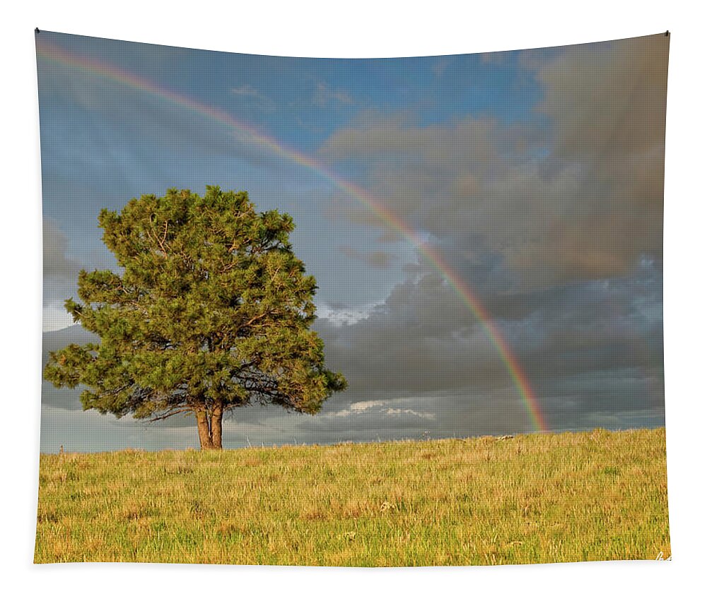Arizona Tapestry featuring the photograph Rainbow Over a Lone Tree by Jeff Goulden