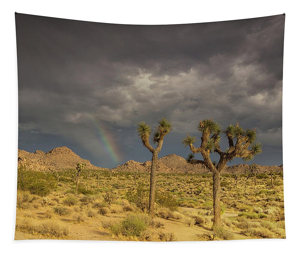 Joshua Tree Thunder Tapestry featuring the photograph Rainbows thunderstorms and sunsets by Kunal Mehra