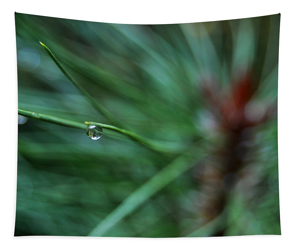 Raindrops Tapestry featuring the photograph Raindrop by Pelo Blanco Photo