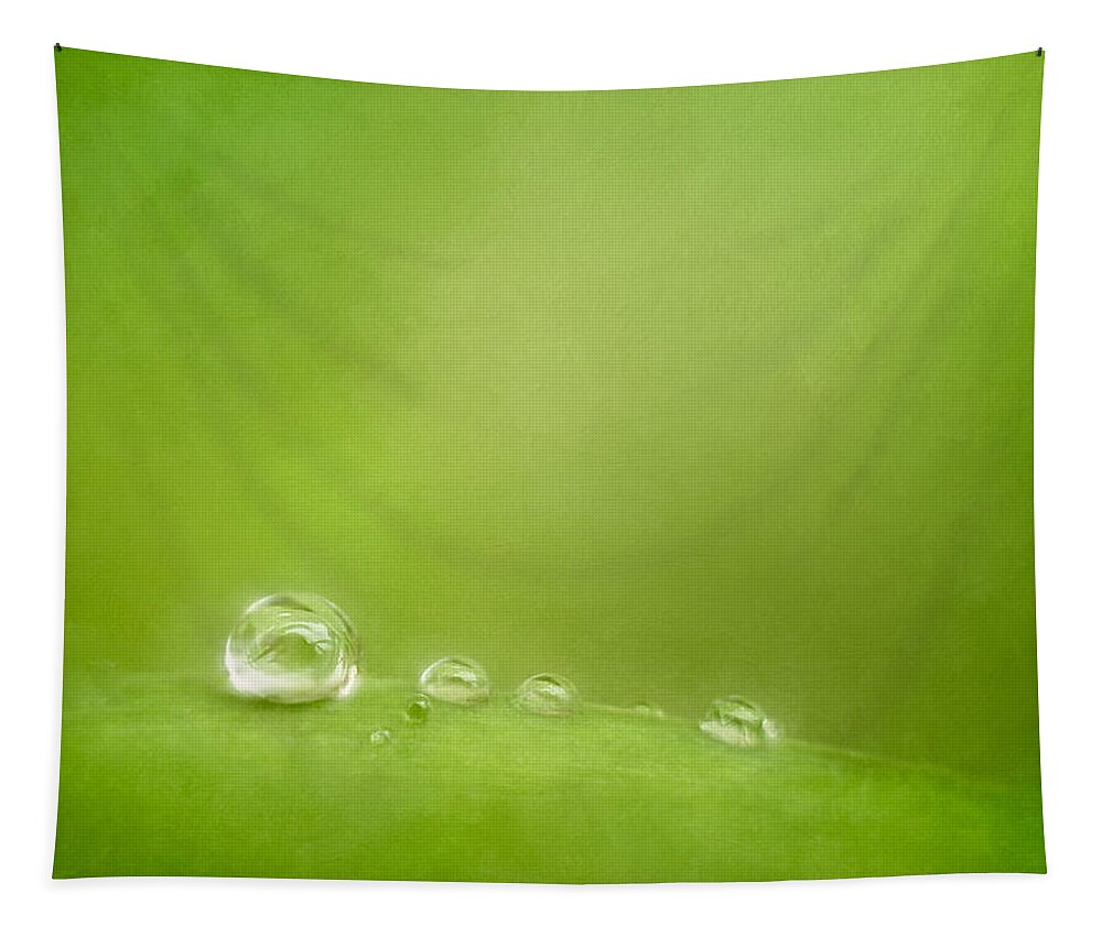 Water Drops Tapestry featuring the photograph Raindrops on Green by Scott Norris
