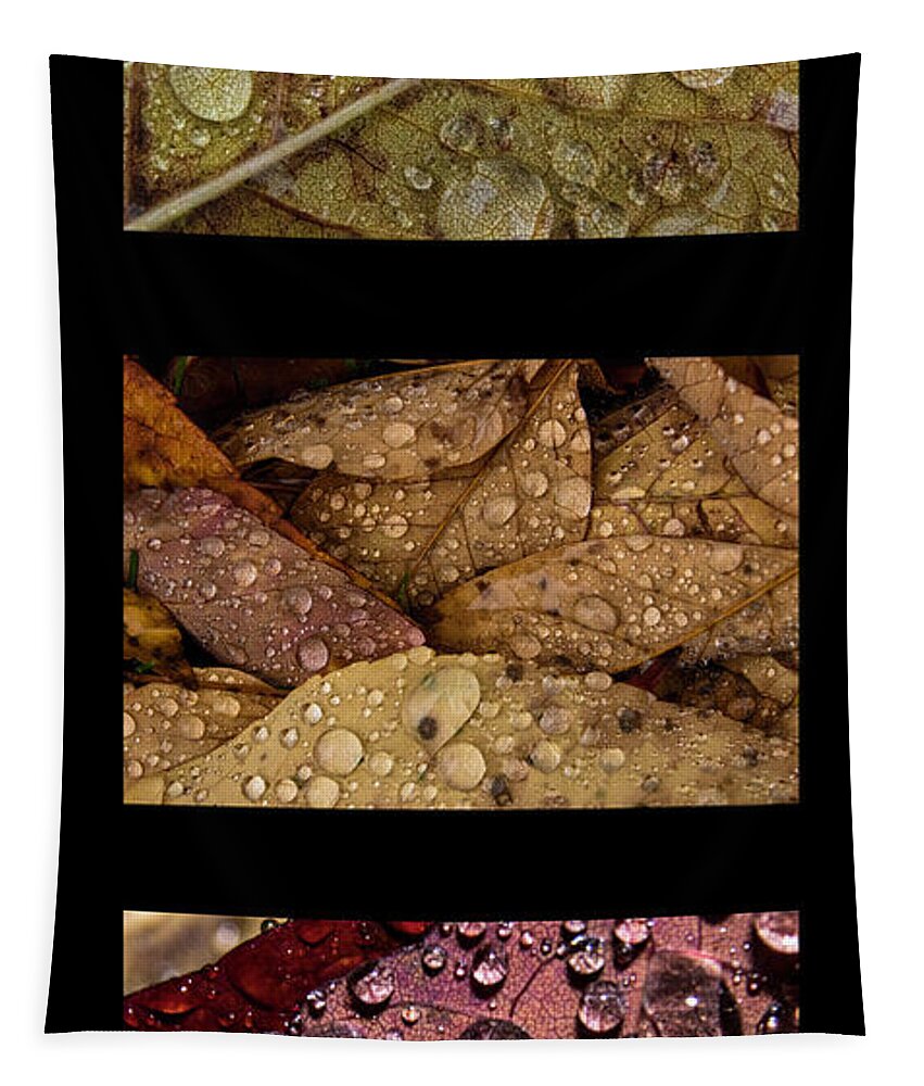Raindrops Tapestry featuring the photograph Raindrops on Leaves Triptych by Ira Marcus