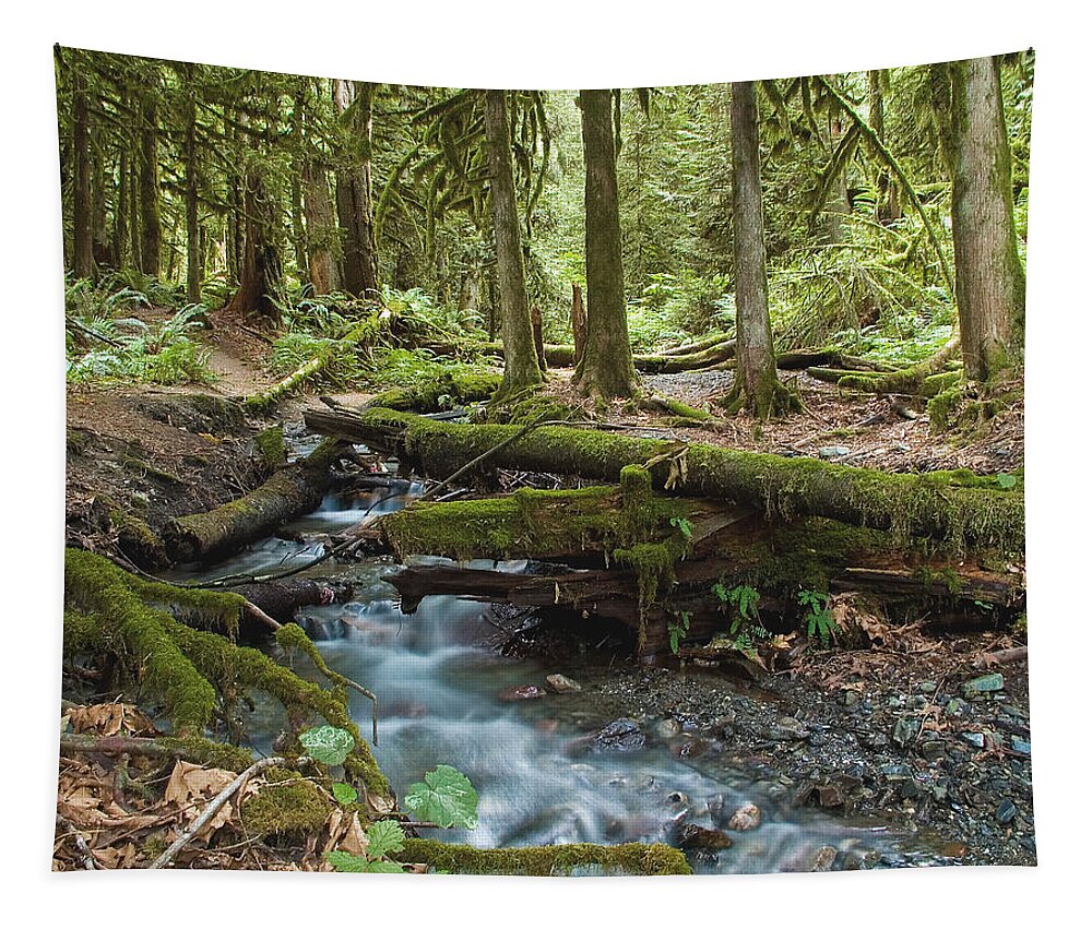 Stream Tapestry featuring the photograph Rainforest at Bridal Veil Falls - British Columbia by Linda McRae
