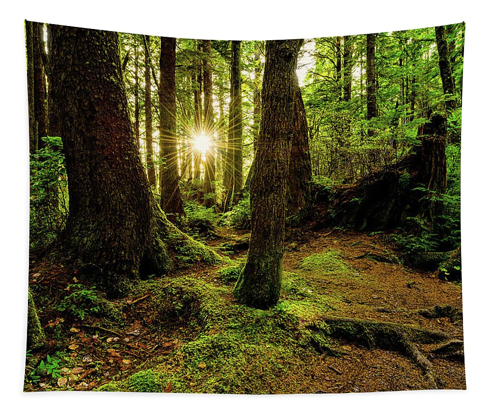 Rainforest Tapestry featuring the photograph Rainforest Path by Chad Dutson