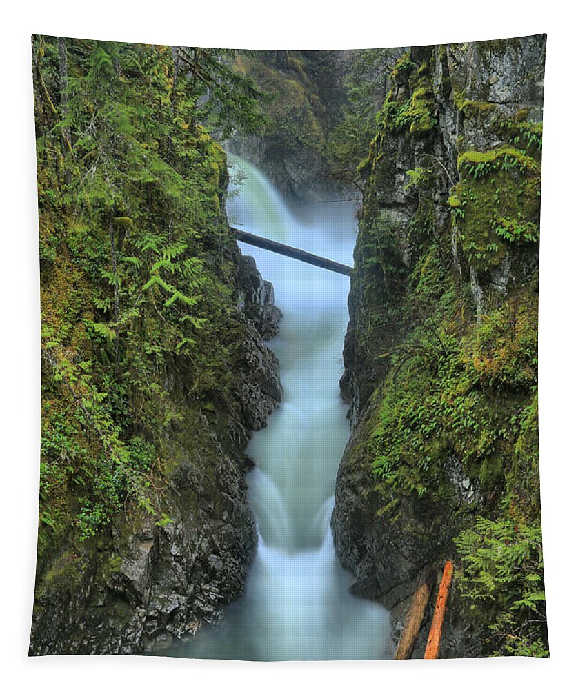 Qualicum Tapestry featuring the photograph Rainforest River Paradise by Adam Jewell