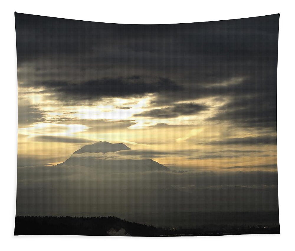 Mount Rainier Tapestry featuring the photograph Rainier 4 by Sean Griffin