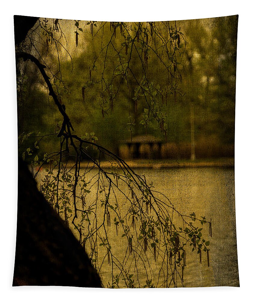 Prospect Park Tapestry featuring the photograph Rainy Day In Prospect Park by Chris Lord
