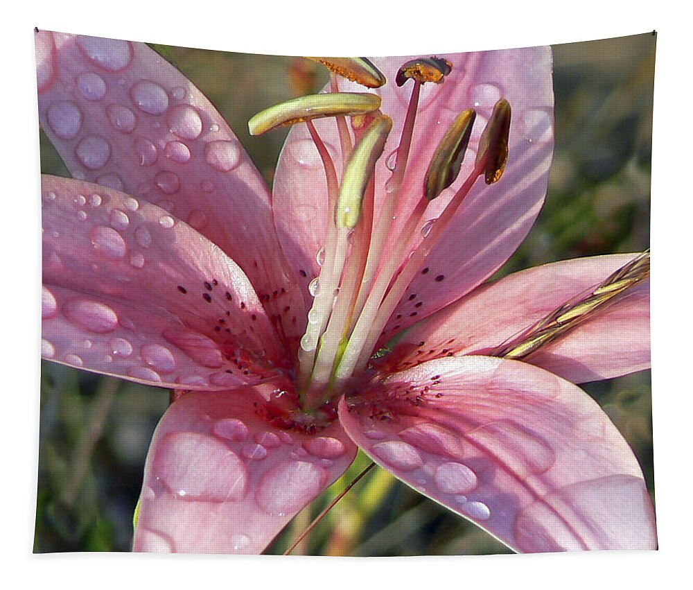 Pamela Patch Tapestry featuring the photograph Rainy Day Lily by Pamela Patch