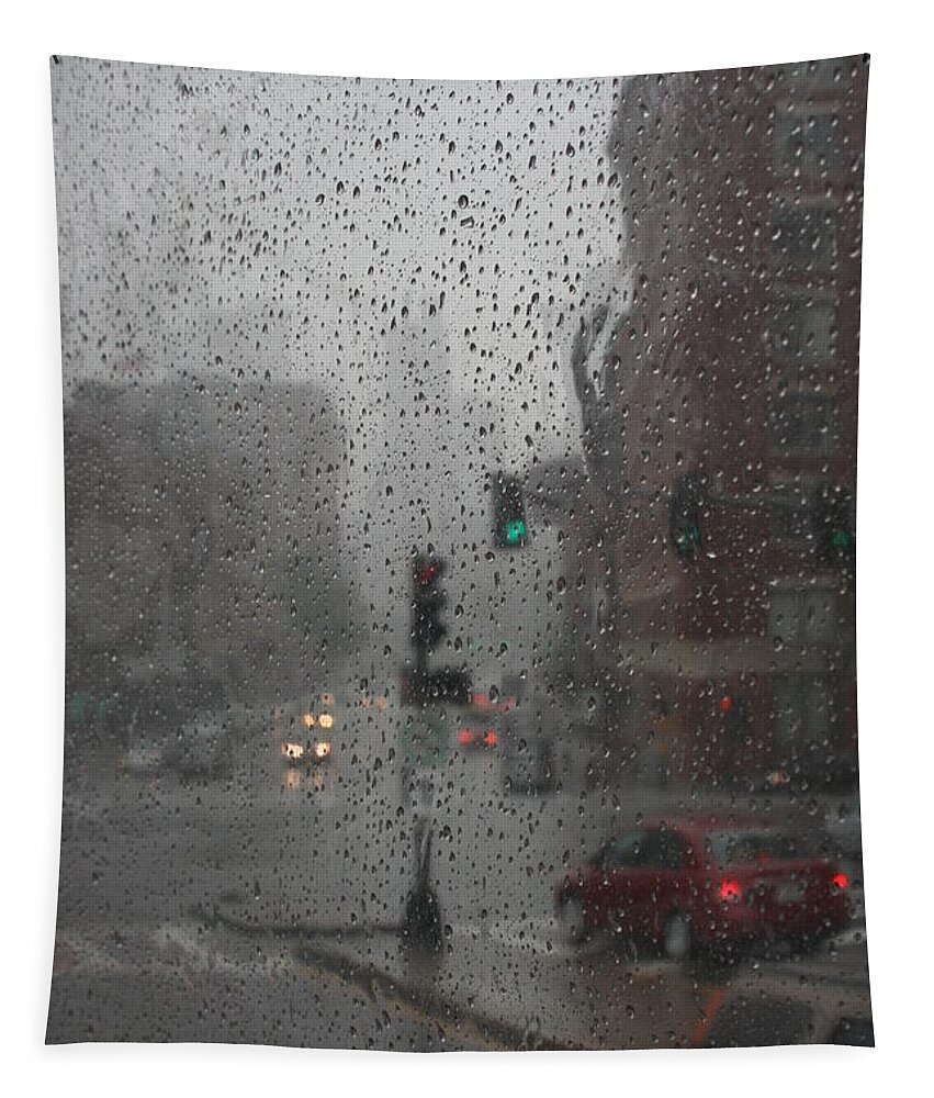 Cityscape Tapestry featuring the photograph Rainy Days in Boston by Julie Lueders 
