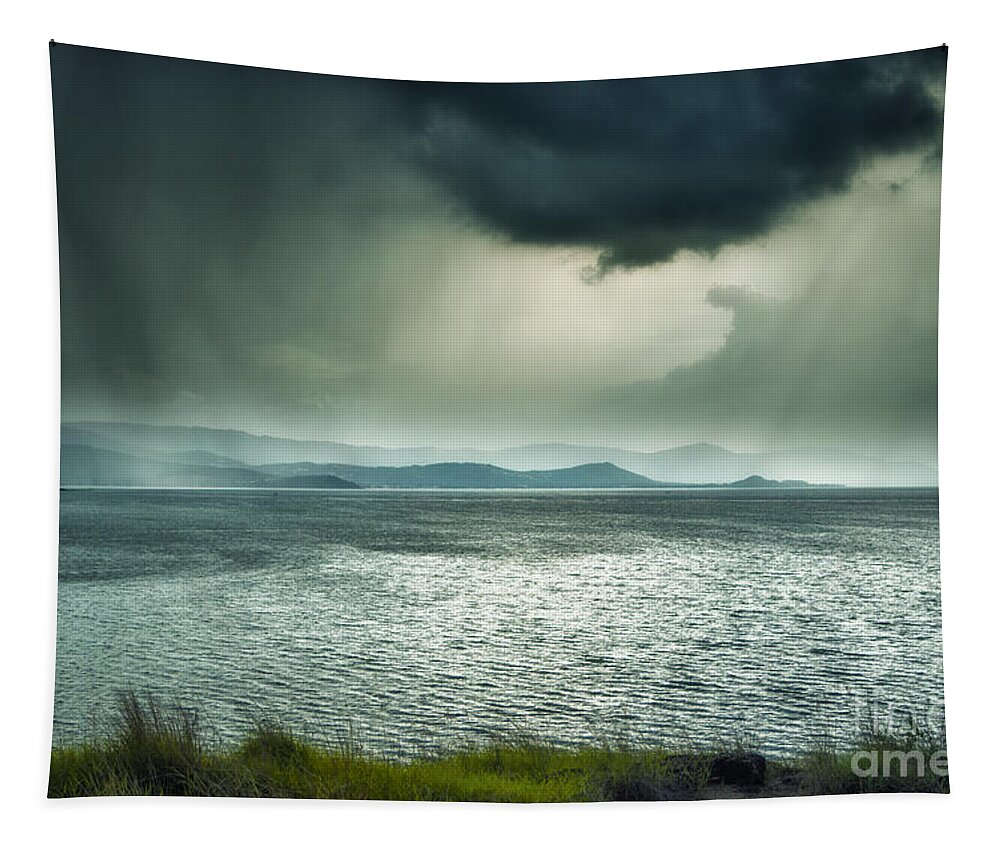 Michelle Meenawong Tapestry featuring the photograph Rainy Mood by Michelle Meenawong