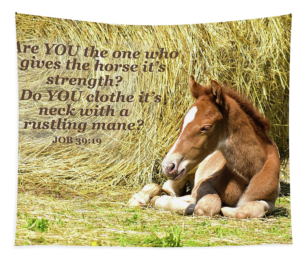 Rapid The Eight Hour Old Foal Tapestry featuring the photograph Rapid The Eight Hour Old Foal And Scripture by Sandi OReilly