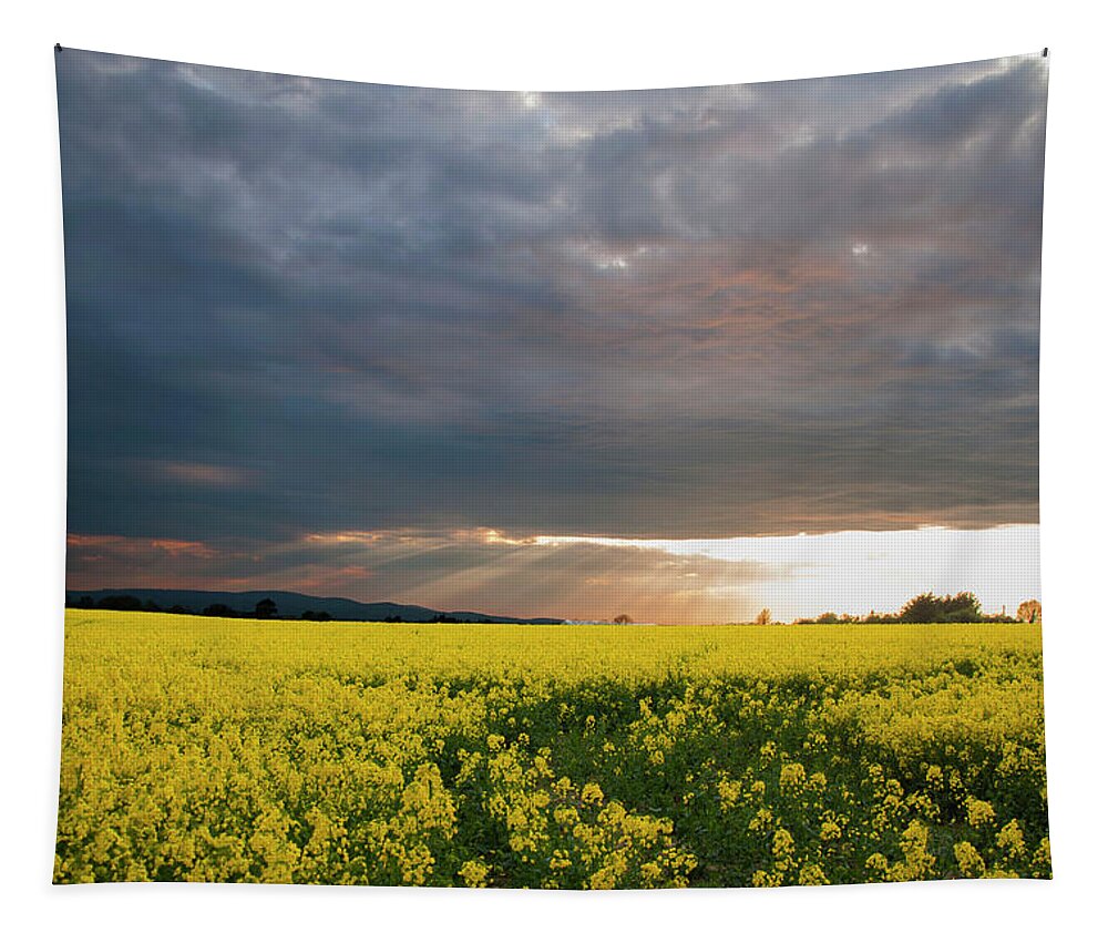 Sun Rays Through Clouds Tapestry featuring the photograph Rays at Sunset by Rob Hemphill