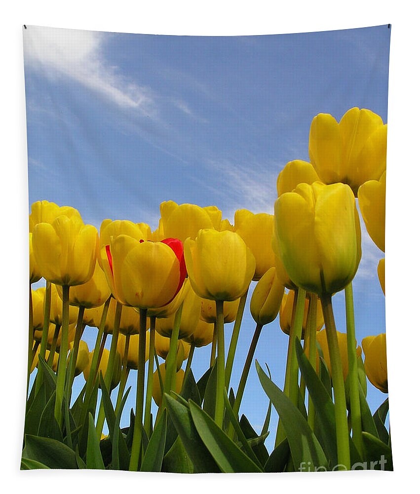 Tulips Tapestry featuring the photograph Reaching for the Heavens by Louise Magno