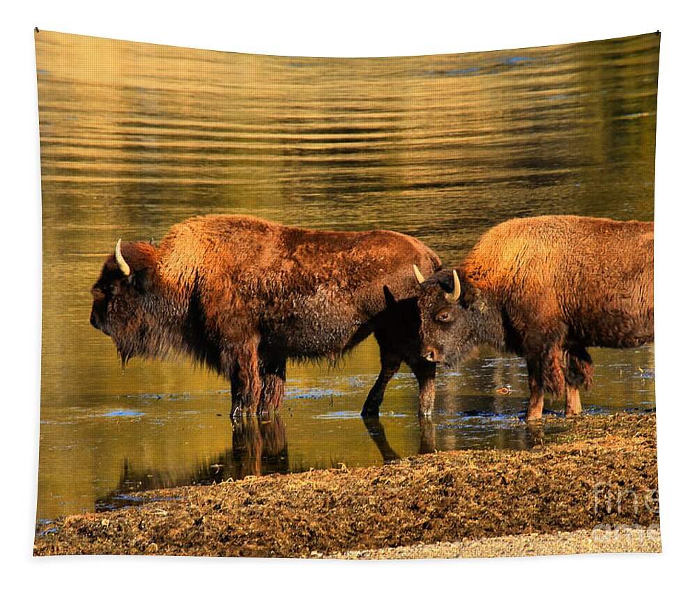 Bison Tapestry featuring the photograph Ready To Cross The Yellowstone by Adam Jewell