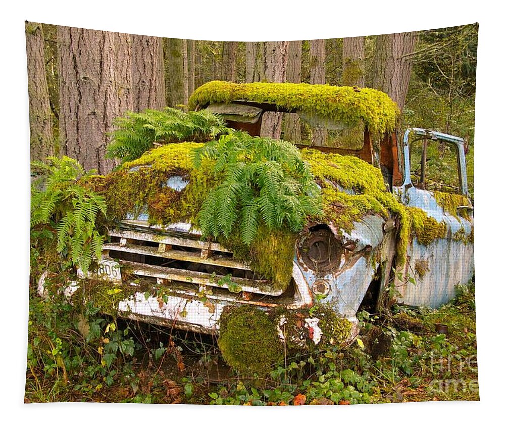 Photography Tapestry featuring the photograph Reclamation by Sean Griffin