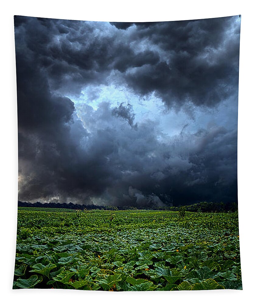 Storms Tapestry featuring the photograph Reclusive by Phil Koch