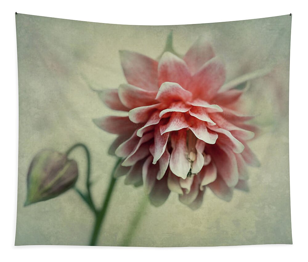 Colorful Tapestry featuring the photograph Red and pink columbine by Jaroslaw Blaminsky