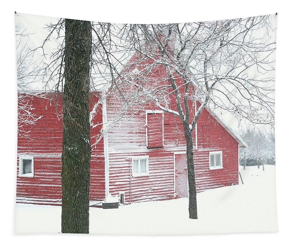 Barn Tapestry featuring the photograph Red and Stormy by Julie Lueders 