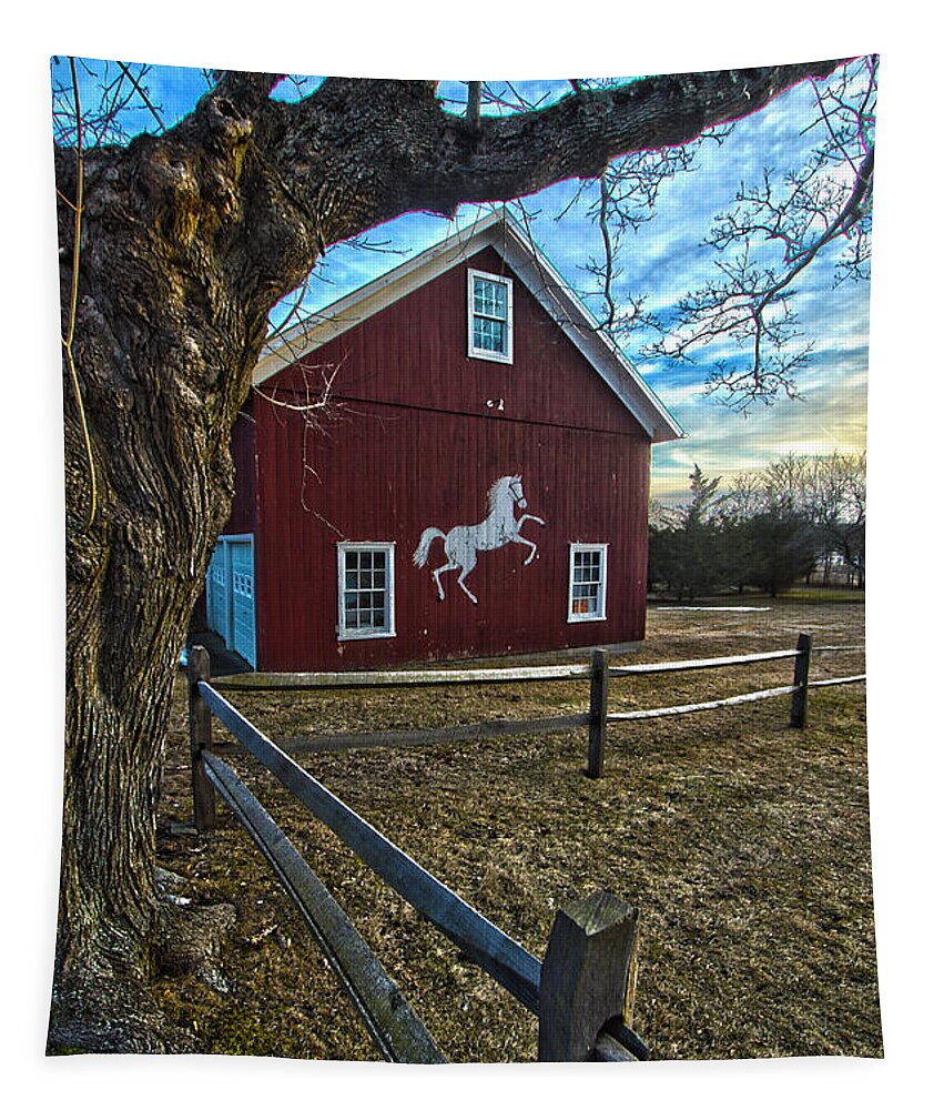 Red Barn Tapestry featuring the photograph Red Barn with White Horse by Robert Seifert